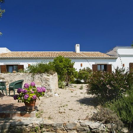 Monte Do Alamo - Turismo Rural Tavira Buitenkant foto